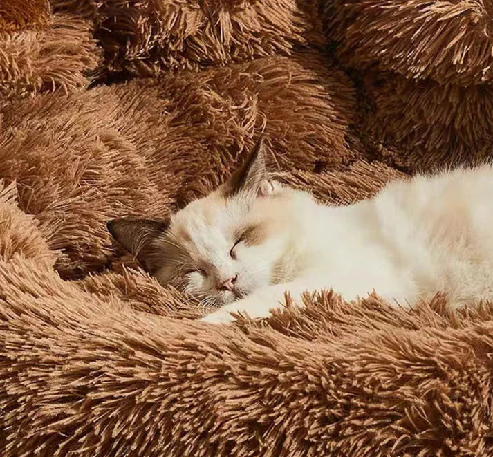 Plush Pet Sofa with Cute Bear Paw