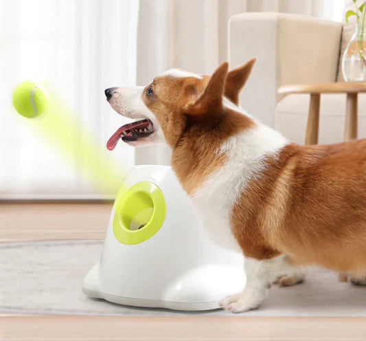 Automatic Tennis Ball Launcher